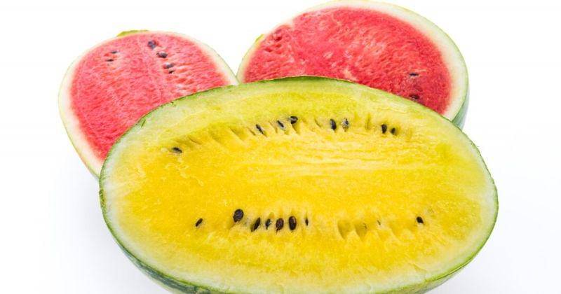 Freepik/lifeforstock